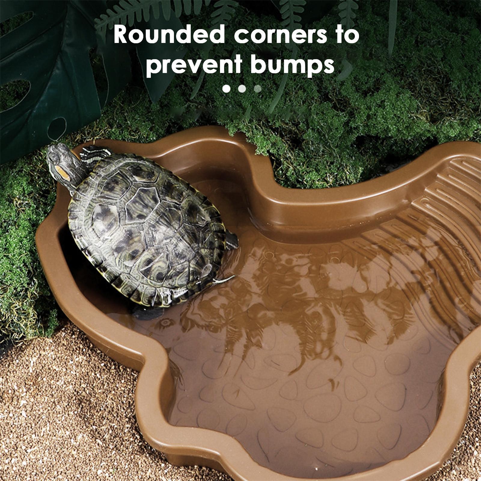Reptile Bathing Pool with Ramp - огляд і ціна Water Dish Reptile
